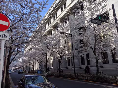 Tokyo Cherry Blossoms viewing at various spots (2)