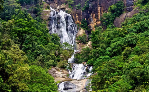 Explore Nature & Wildlife Tour - Seven Days and Six Nights
