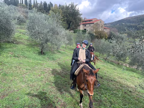 Horse ride, Olive oil tour and food tasting