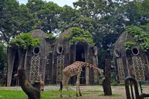 Monas and Ragunan Zoo Trip