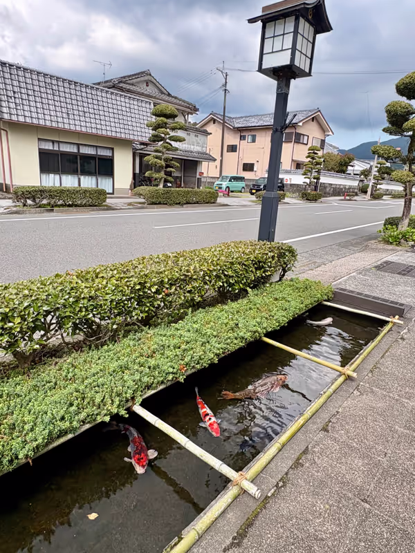 Kagoshima Private Tour - 