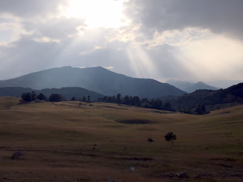 Tbilisi Private Tour - Algeti National Park
