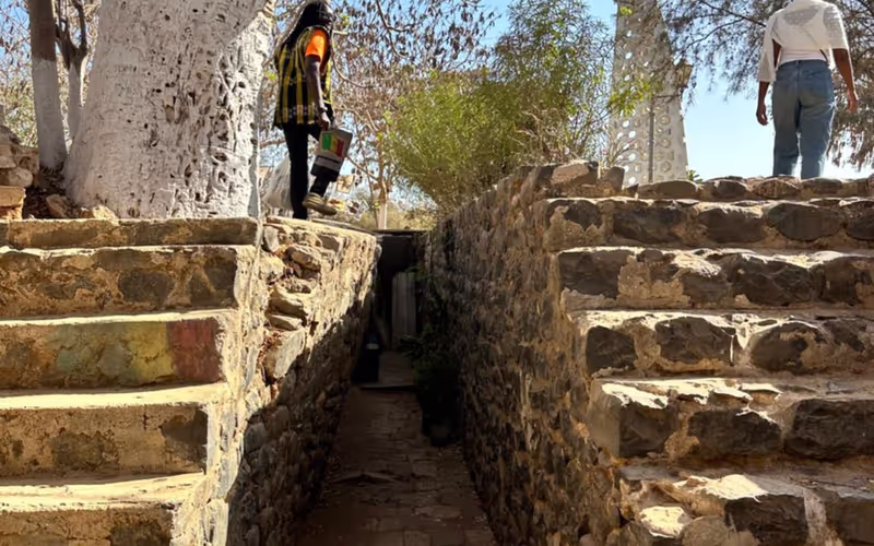 Dakar Private Tour - Gorée