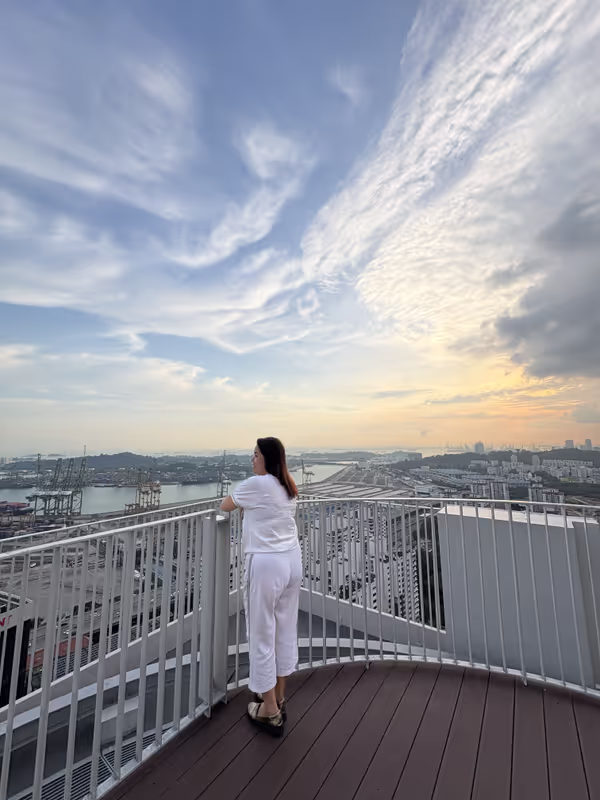Singapore Private Tour - Early Financial Centre View