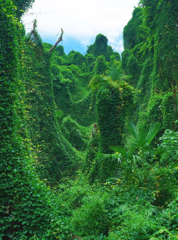 Hangzhou Private Tour - 