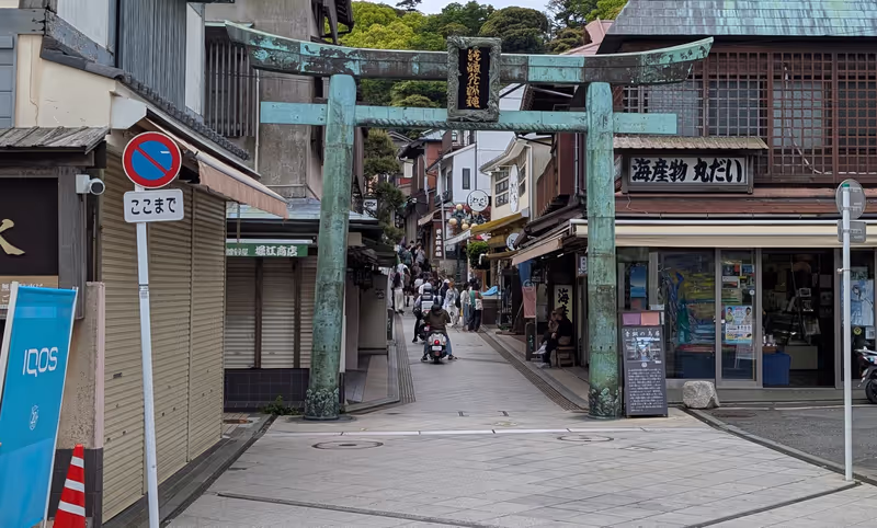 Kanagawa Private Tour - 