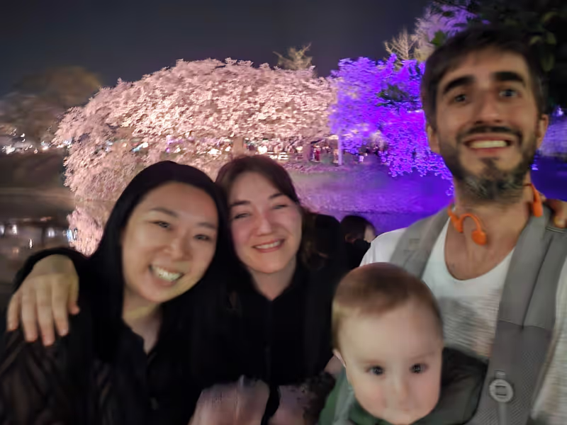 Fukuoka Private Tour - Night cherry blossoms at Fukuoka Castle Ruins