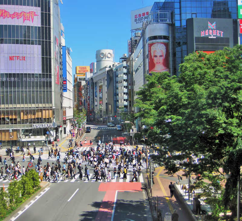 Tokyo Private Tour - Shibuya Crazy Crossing