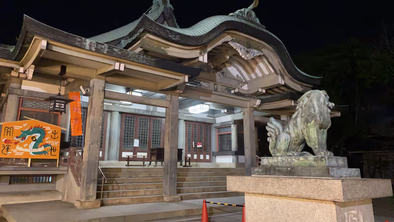 Osaka Private Tour - 