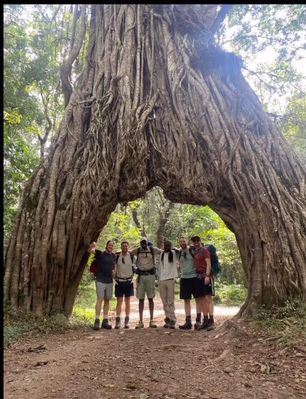 Kilimanjaro Private Tour - 