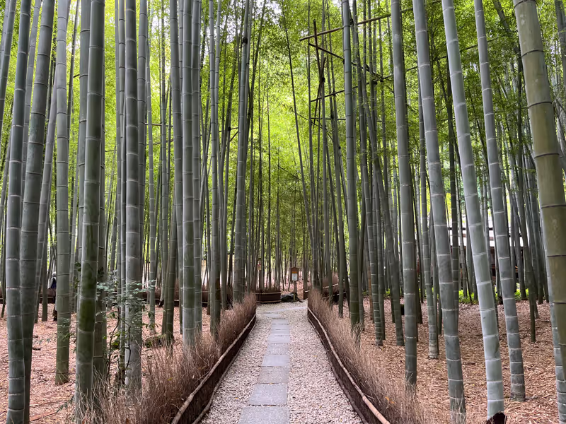 Yokohama Private Tour - Beautiful bamboo path