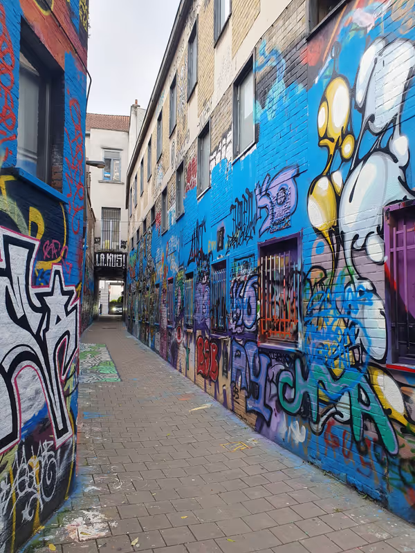 Ghent Private Tour - Ghent, a city of street art and urban culture
