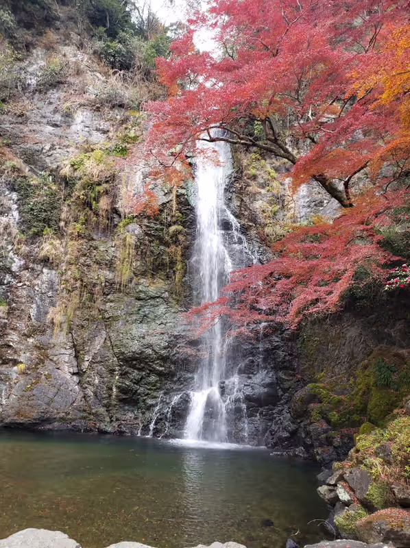 Osaka Private Tour - 