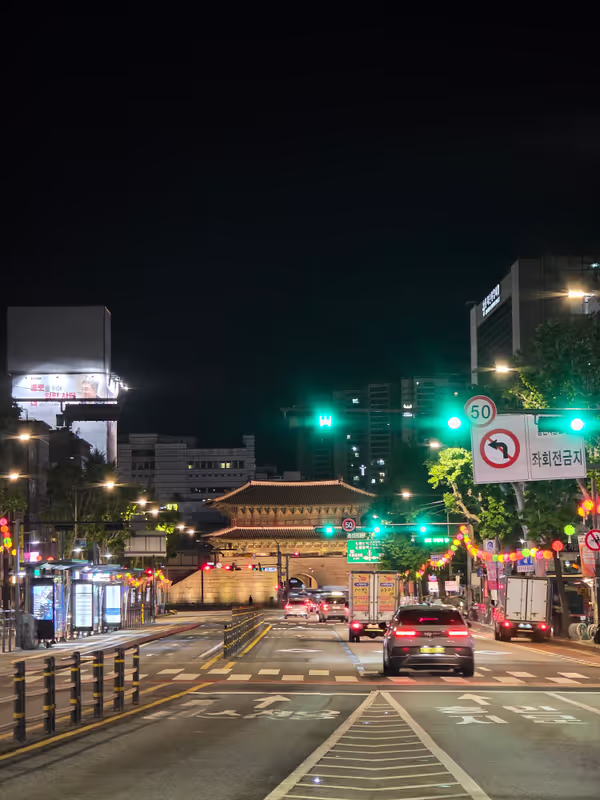 Seoul Private Tour - Late night in Seoul (really safe)