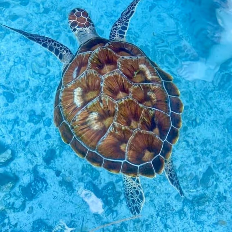 Zanzibar Private Tour - 