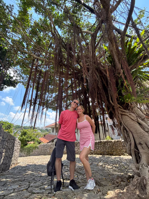 Okinawa Main Island Private Tour - Gajumaru tree