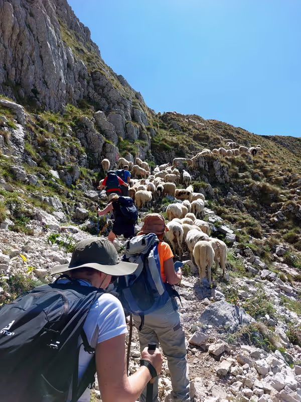 Kotor Private Tour - 