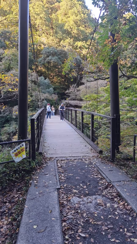 Tokyo Private Tour - 