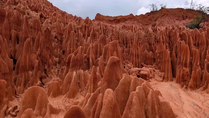 Antananarivo Private Tour - 