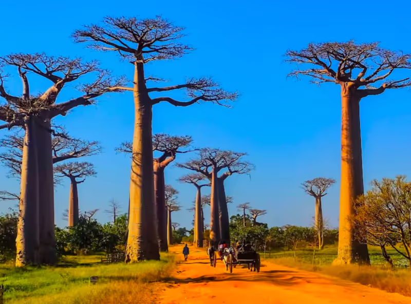 Antananarivo Private Tour - 
