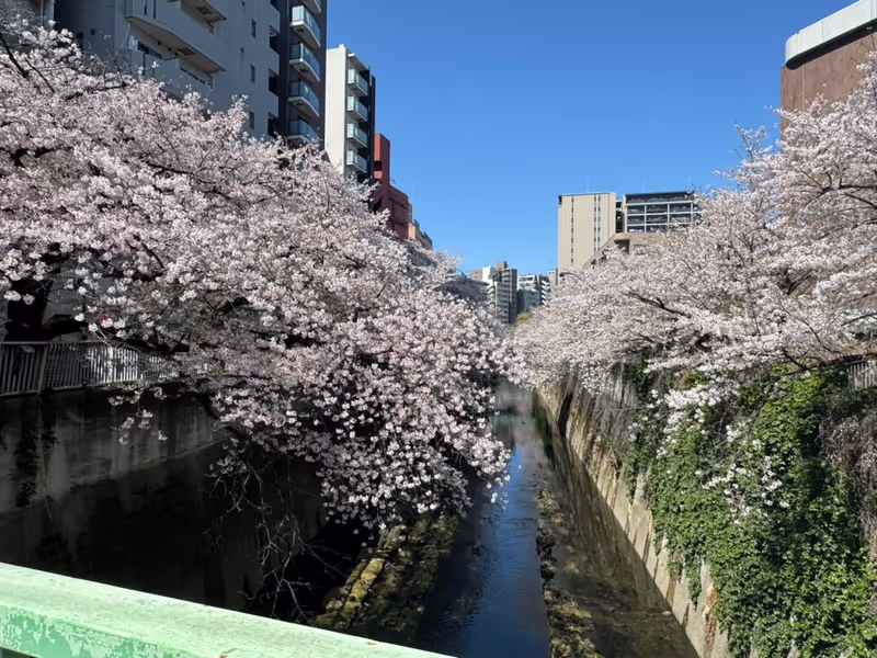 Kanagawa Private Tour - 