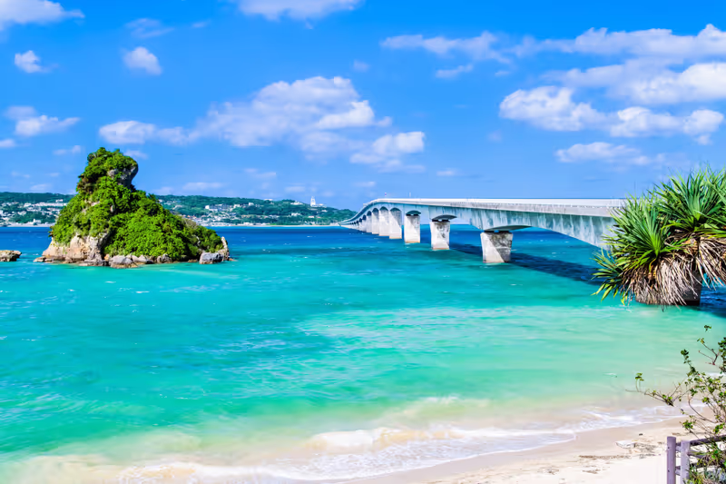 Okinawa Main Island Private Tour - Kouri island