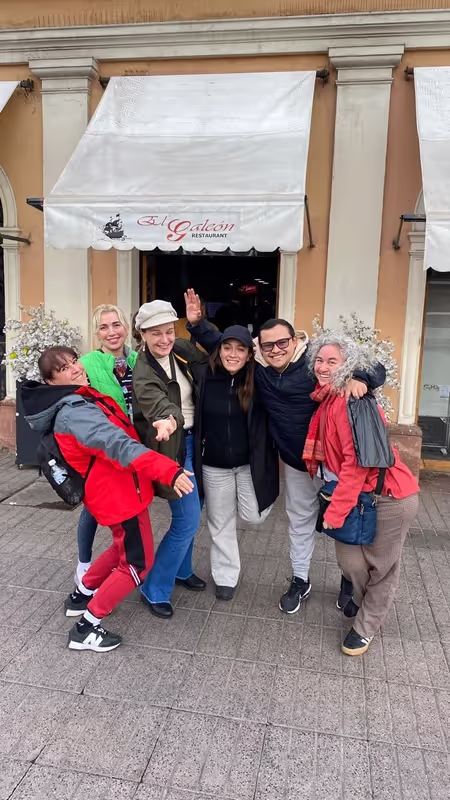Region Metropolitana Private Tour - 
