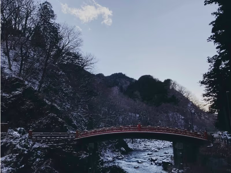 Tochigi Private Tour - 