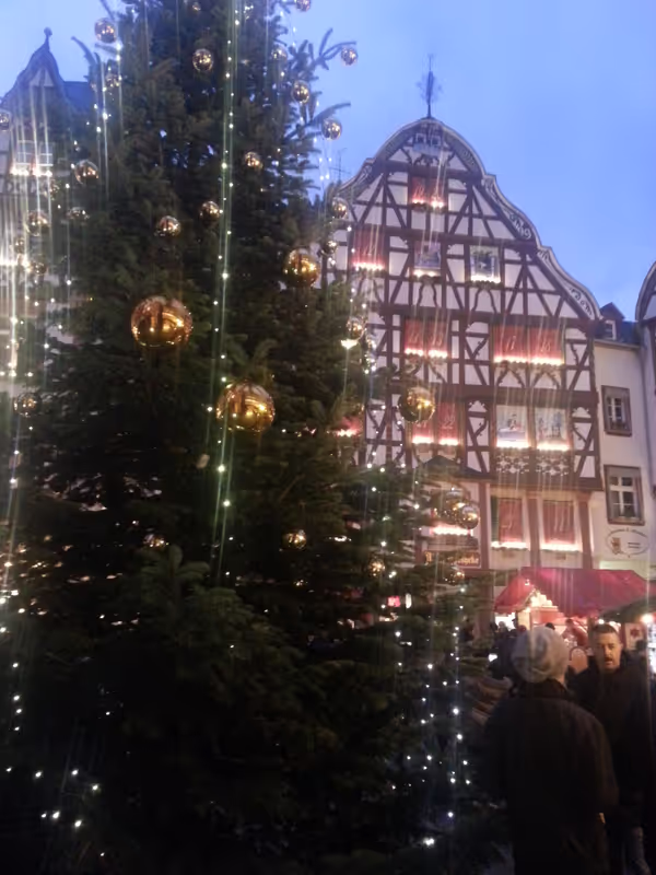 Rheinland-Pfalz Private Tour - 