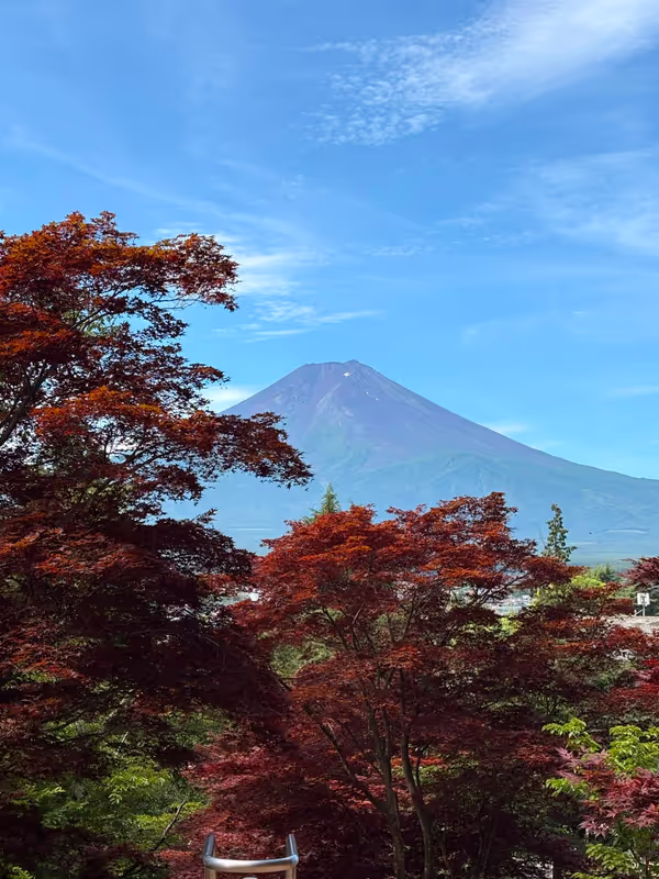 Kanagawa Private Tour - 