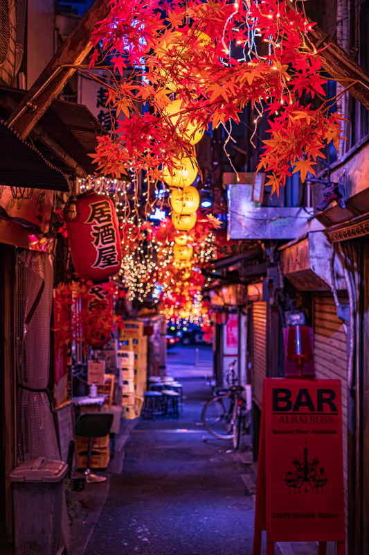 Kanagawa Private Tour - 