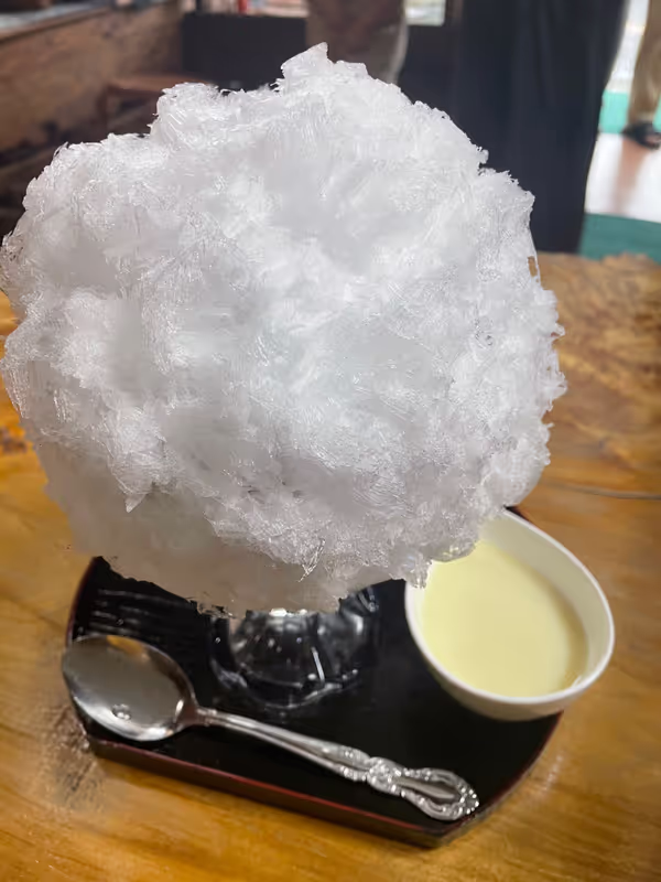 Tochigi Private Tour - 