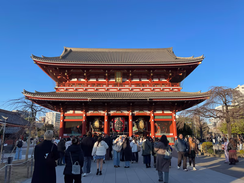 Tokyo Private Tour - Hozomon