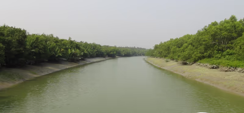 Dhaka Private Tour - Inside Sundarban