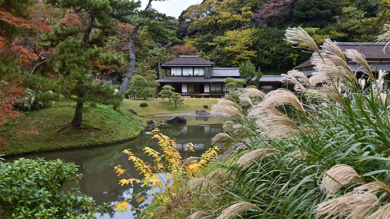 Kanagawa Private Tour - 