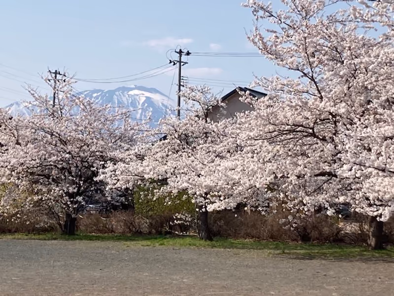 Iwate Private Tour - 
