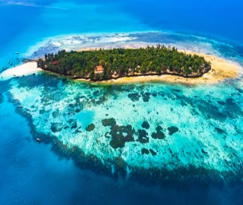 Zanzibar Private Tour - 