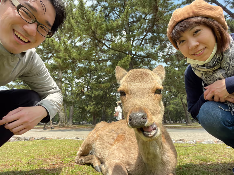 Kyoto Private Tour - great day at the Nara deer park