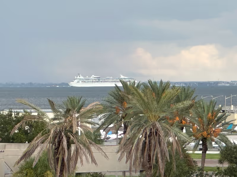 Florida Private Tour - Cruise ships leaving Port of Tampa sailing past downtown St. Petersuburg