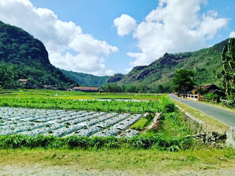 Yogyakarta Private Tour - 