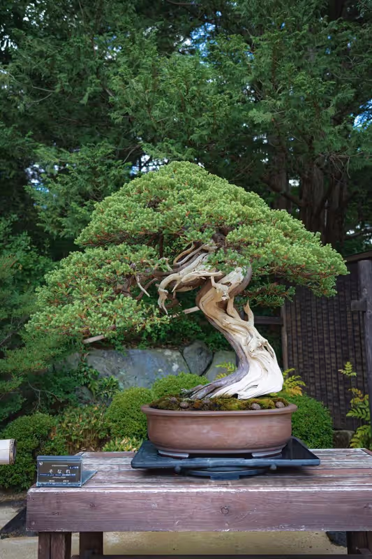 Saitama Private Tour - 