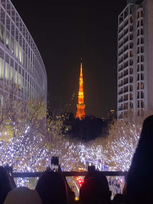 Tokyo Private Tour - 