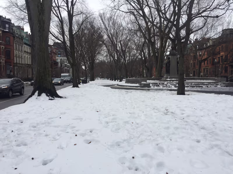 Boston Private Tour - Comm Ave Mall in Winter
