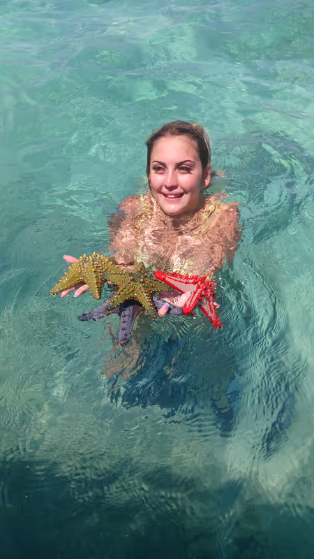 Zanzibar Private Tour - Star fish
