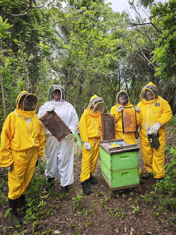 Managua Private Tour - Apiculture Tour 
