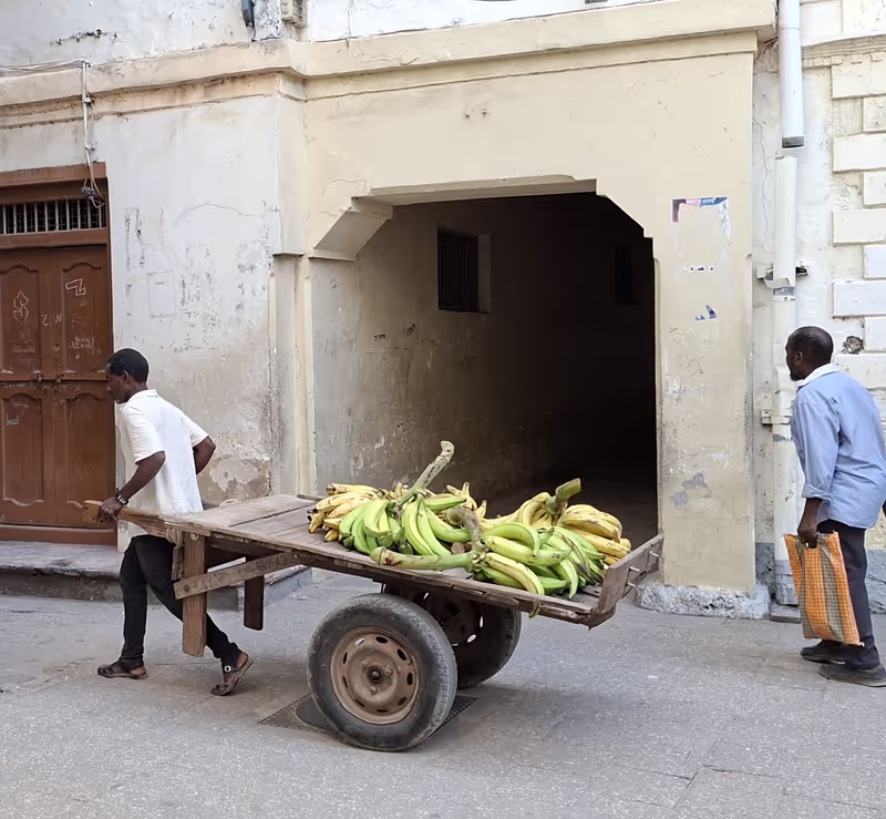 Zanzibar Private Tour - 