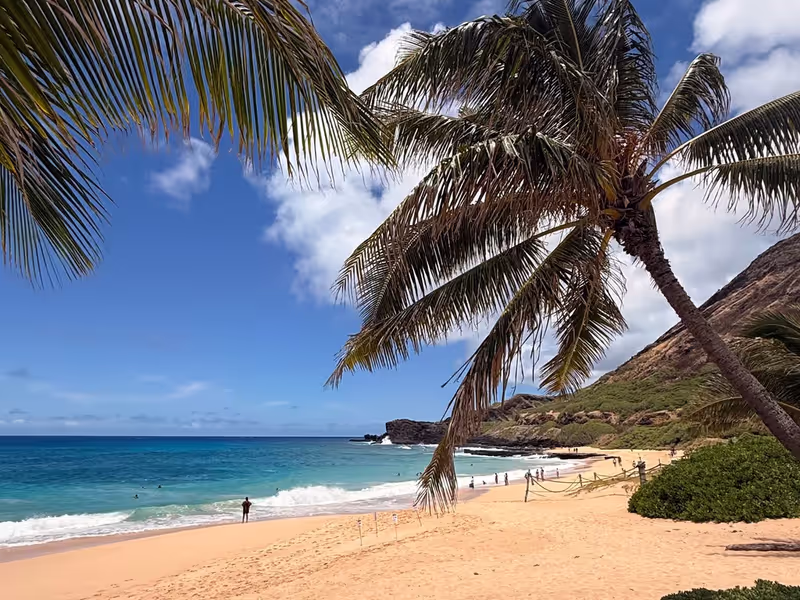 Honolulu Private Tour - 