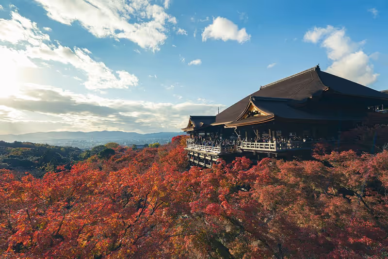 Osaka Private Tour - 