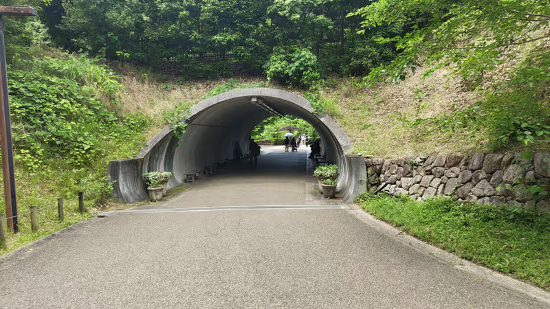 Osaka Private Tour - 