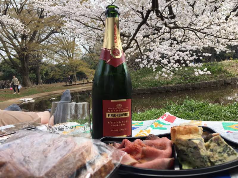 Tokyo Private Tour - Ohanami with Champagne!